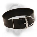 Extra Wide Leather Dog Collar for Bullmastiff breed