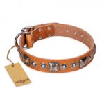 "Era of Future" FDT Artisan Handcrafted Tan Leather Bullmastiff Collar with Decorations