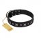 "Polar Lights" Designer FDT Artisan Black Leather Bullmastiff Collar with Silver-Like Studs
