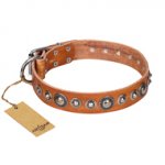 "Daily Chic" FDT Artisan Tan Leather Bullmastiff Collar with Decorations