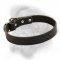 Premium Leather Dog Collar for Bullmastiff