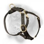 Luxurious hand crafted leather dog harness for various needs