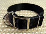 Bullmastiff Wide Nylon Dog Collar 1.5 inch wide