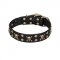 "Jolly Rojer" FDT Artisan Leather Bullmastiff Collar with Pirate Skulls and Studs - 1 1/2 inch (40 mm) wide