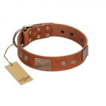 "Great Obelisk" Handcrafted FDT Artisan Tan Leather Bullmastiff Collar with Large Plates and Pyramids