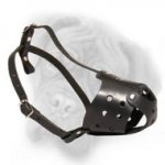 Elegant Leather dog muzzle for everyday