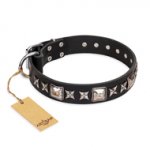 "Space Walk" FDT Artisan Black Leather Bullmastiff Collar with Adornments
