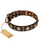 "Flower Melody" FDT Artisan Brown Leather Bullmastiff Collar with Mixed Studs