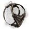 Classy leather dog harness for walks and training