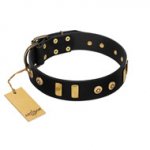 "Rare Dog" FDT Artisan Black Leather Bullmastiff Collar with Old Bronze-like Dotted Studs and Tiles