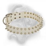 Elegant White Leather Collar for Bullmastiff