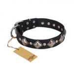"Silver Charm" FDT Artisan Leather Bullmastiff Collar with Silvery-Plated Large Square Studs