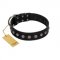 "Silver Flower" Exclusive FDT Artisan Black Leather Bullmastiff Collar with Silver-Like Studs