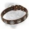 Bullmastiff leather dog collar of exquisite design for stylish walks and successful training