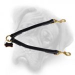 Superb Leather Bullmastiff Coupler Leash for Walking Two Dogs