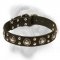 "Rock n Roll" Superior Leather Collar for Bullmastiff Breed