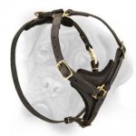 Leather dog harness for tracking and training in style