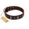 "War Chief" FDT Artisan Genuine Brown Leather Bullmastiff Collar with Skulls and Plates