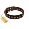 "Street Fashion" FDT Artisan Brown Leather Bullmastiff Collar Adorned with Circles and Skulls