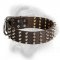 Extra Wide Leather Bullmastiff Collar with 4 Rows of Spikes