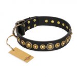 "Gold Mine" FDT Artisan Black Leather Bullmastiff Collar with Amazing Bronze-Plated Round Studs
