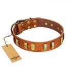 "Olive Slice" FDT Artisan Tan Leather Bullmastiff Collar with Engraved and Smooth Plates