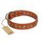 "Gorgeous Roundie" FDT Artisan Tan Leather Bullmastiff Collar with Chrome-plated Circles