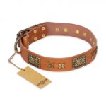 "Cosmic Traveller" FDT Artisan Adorned Leather Bullmastiff Collar with Old Bronze-Plated Stars and Plates