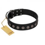 "Silent Star" Handmade FDT Artisan Designer Black Leather Bullmastiff Collar with Engraved Plates