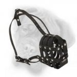 Highly popular Leather Dog Muzzle for BullMastiff