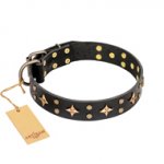 "A La Mode" FDT Artisan Handcrafted Black Leather Bullmastiff Collar