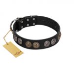 "Mister Exclusive" Designer FDT Artisan Black Leather Bullmastiff Collar with Medallions