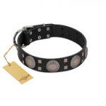 "Sun in Shining" Modern FDT Artisan Black Leather Bullmastiff Collar with Studs and Stars
