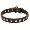 "Caterpillar" Functional Leather Bullmastiff Collar with Nickel Square Dotted Studs