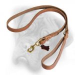 Leather Braided Dog Leash 1/4 inch for Bullmastiff