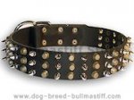 Easy Adjustable Stylish Decorated Leahter Bullmastiff Collar