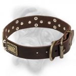 Top Quality Stylish Leather Collar for Bullmastiff Breed