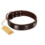 "Nut-Brown Finery" Embellished FDT Artisan Brown Leather Bullmastiff Collar with Chrome Plated Crossbones and Plates