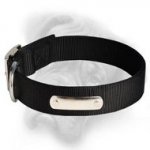 Great 2 Ply Nylon Dog Collar w/h name tag for Bullmastiff breed