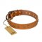 "Autumn Story" FDT Artisan Leather Bullmastiff Collar with Old Bronze Look Studs