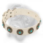 Designer White Leather Bullmastiff Collar with Gorgeous Decoration