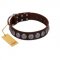 "Charming Circles" FDT Artisan Brown Leather Bullmastiff Collar with Silver-like Studs