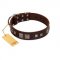 "Object of Virtu" FDT Artisan Brown Leather Bullmastiff Collar with Old Silver-like Square Studs and Pyramids