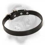 Leather Field Collar for Bullmastiff