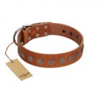 "Lucky Star" Handmade FDT Artisan Designer Tan Leather Bullmastiff Collar with Round Plates