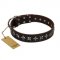 "Stars of Glory" FDT Artisan Brown Leather Bullmastiff Collar for Comfortable Walking