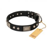 "Pirates Gold" FDT Artisan Black Leather Bullmastiff Collar with Old Silver Look Plates and Skulls