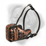 Hand Painted "Magma" Style Leather Bullmastiff Muzzle