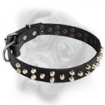 Bullmastiff genuine leather dog collar adorned with 3 rows of pyramids