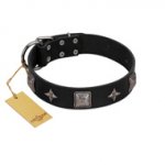 "Black Cavalier" Handmade FDT Artisan Black Leather Bullmastiff Collar with Silver-Like Stars and Large Plates
